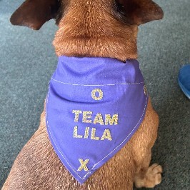 Team Lila